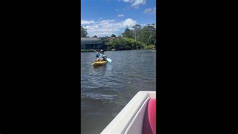 Australische Kajak Karen Is Pissig Op Bestuurder Van Bootje En Schiet