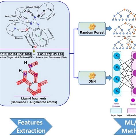 Smplip Score Workflow For Binding Affinity Prediction Publically