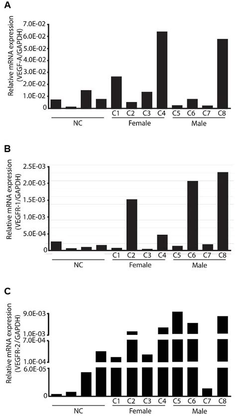 Relative Mrna Expression Of Vegf A Vegfr And Vegfr In Placentomes