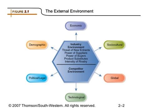 The External Environment1