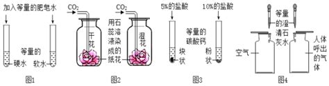 下列实验不能达到实验目的的是 A图1区分硬水和软水 B图2探究co2与水的反应c图3探究影响反应速率的因素 D图4比较