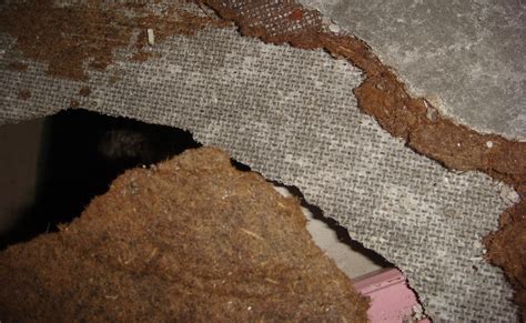 Asbestos Insulation How To Identify