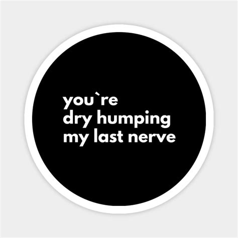 You`re Dry Humping My Last Nerve Offensive Adult Humor Magnet