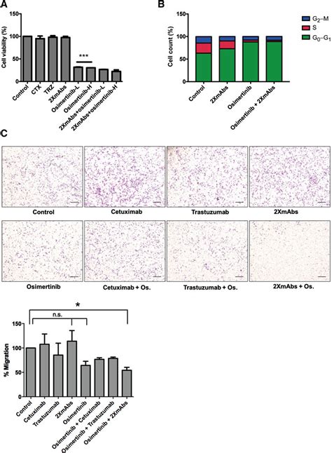 Osimertinib Treatment Decreases Cell Viability And When Combined With