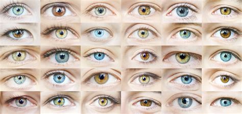 Eye Color Trivia Vision Source Of Hendersonville