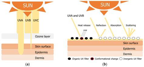 Energies Free Full Text A Review Of Biomass Derived Uv Shielding