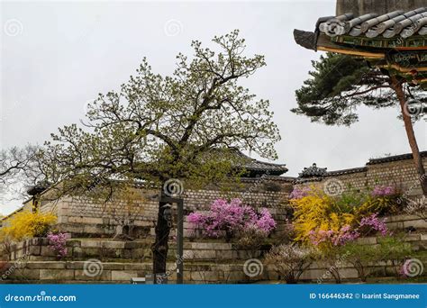 Changgyeonggung Palace editorial photography. Image of architecture ...