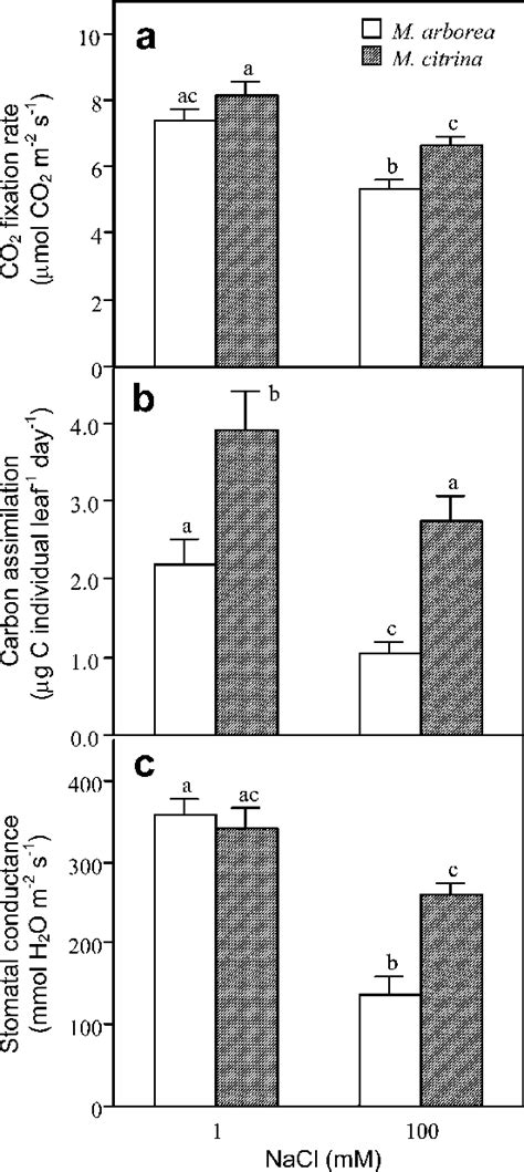 CO 2 Fixation Rate A Carbon Assimilation Per Day B And Stomatal