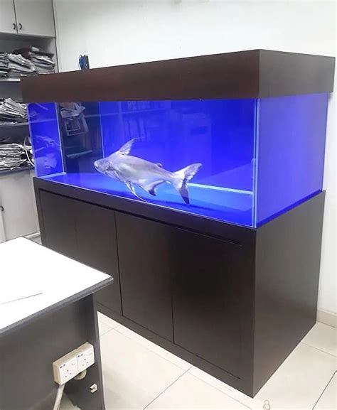 Discover more like Shittyaquariums: Has to be the most boring tank ever