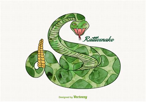 Free Vector Watercolor Rattlesnake Vector Art At Vecteezy