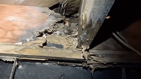 Moisture - your home's worst enemy - Home Inspections Dothan, Ozark ...