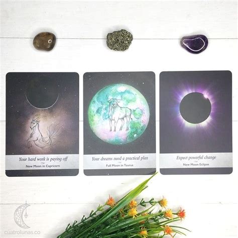 Los números en el Tarot y su significado Tarot Arcanos menores Mudras