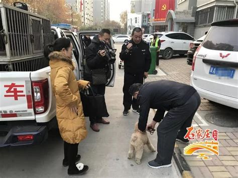 「遛犬不牽繩」將被處罰，市公安機關集中查處市區不文明養犬行為 每日頭條