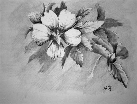 √ Flowers Pencil Drawing