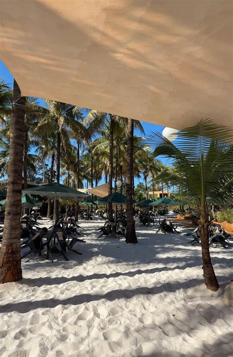 Eloisa Mattos Praia Do Parque Aqu Tico Hot Beach Ol Mpia Ganha Areia Nova