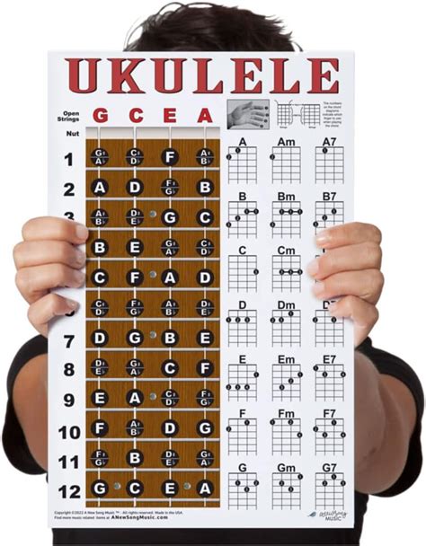 Laminated Ukulele Fretboard Notes And Easy Beginner Chord