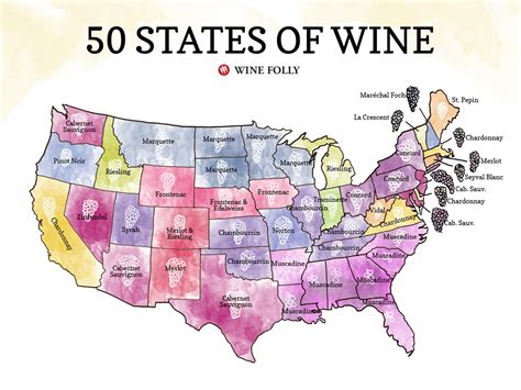 50 States Of Wine Map Wine Folly