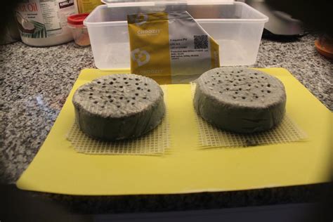 Penicillium Roqueforti (PV) by Danisco | Cheese Making Supply