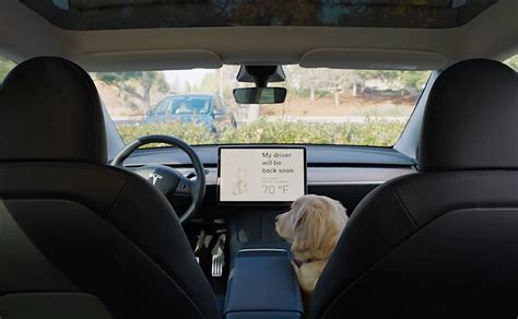 Dog Mode Or Track Mode Your Tesla Learns New Tricks With 2022 Holiday