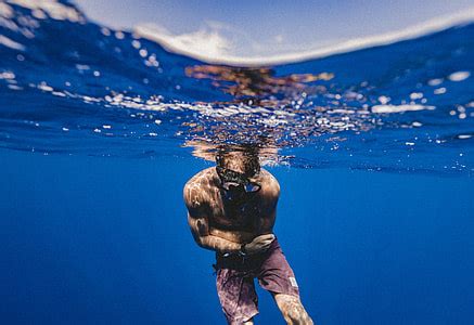 Royalty Free Photo Man Diving On Calm Body Of Water Pickpik