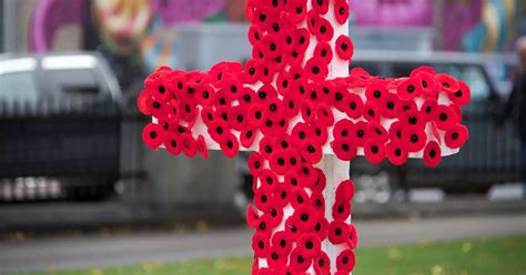 The history of a Remembrance Day poppy and why we wear one in November ...