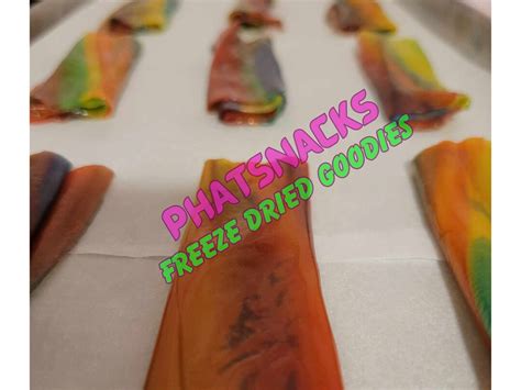 Freeze Dried Fruit Roll Up Etsy