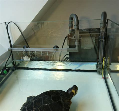 Aquaterrarium Pour Tortue D Eau