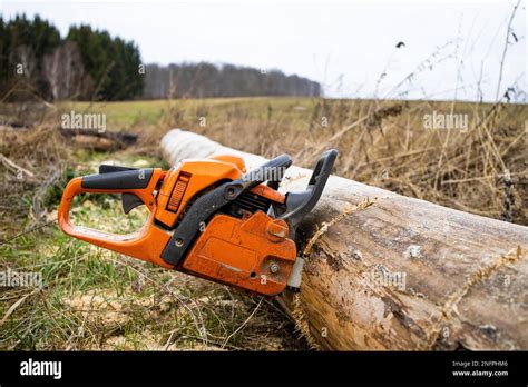 Chainsaw Cutting Firewood Stock Photo Alamy