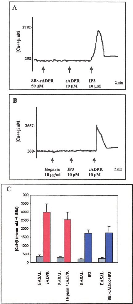 Effect of 8Br cADPR and heparin on Ca 2 ϩ response Download