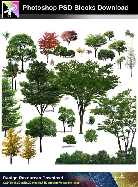 【photoshop Psd Blocks】landscape Tree Psd Blocks 13