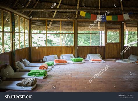 Ayahuasca: Over 1,019 Royalty-Free Licensable Stock Photos | Shutterstock