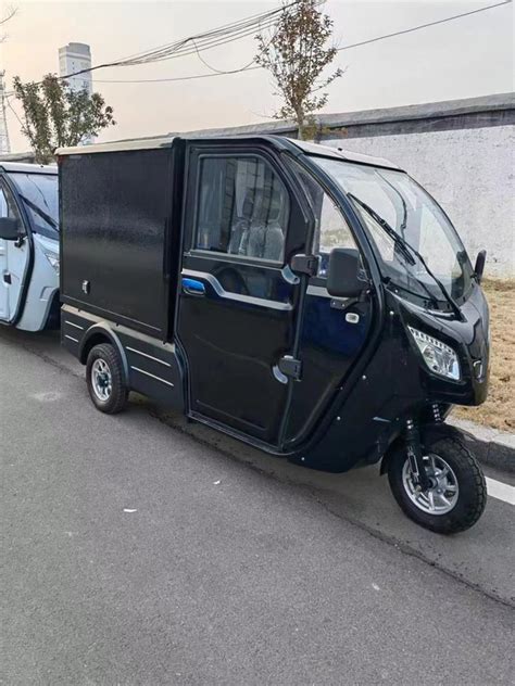 Hot Eec Enclosed 3 Wheel Electric Trike For Adult Electric Cargo Car