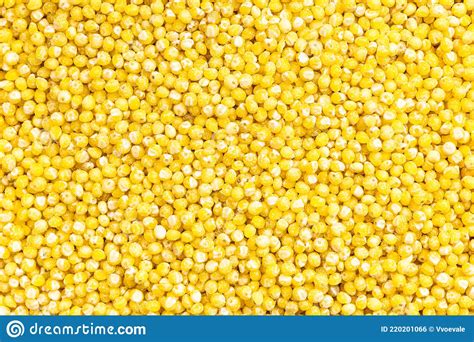 Background Uncooked Polished Proso Millet Grains Stock Photo Image