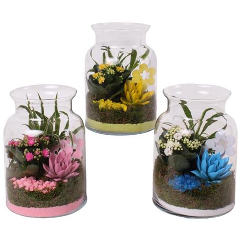 Декоративно растение Summer микс 09067325 на топ цена — Home Max | ex ...