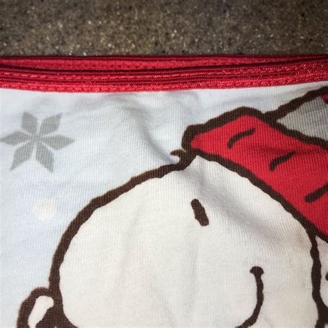 Peanuts Intimates Sleepwear Peanuts Snoopy Winter Bikini Panties Poshmark