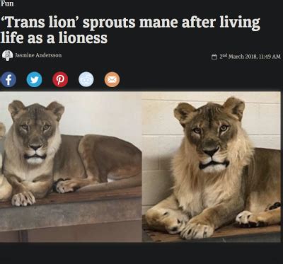 Satanic Gay Clown Tumblr Tumbex