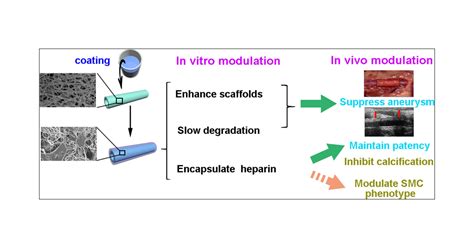 Hydrogel Complex Electrospun Scaffolds And Their Multiple Functions In