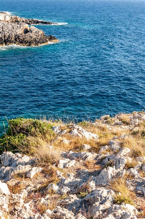 Isla De Zakynthos Grecia Una Perla Del Mediterr Neo Con Las Playas Y