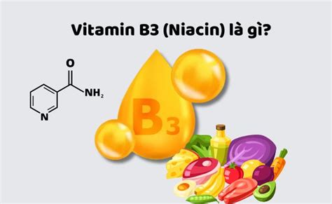 Vitamin B3 Niacin Công Dụng Cách Dụng And Lưu Ý Kiehls