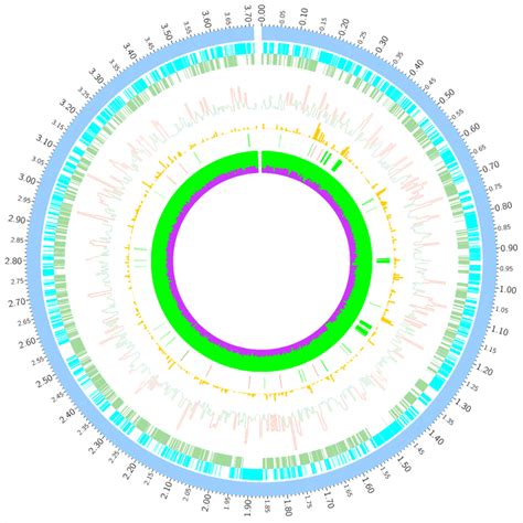 Circular Graph Depicting The Distribution Of Variants In The 23