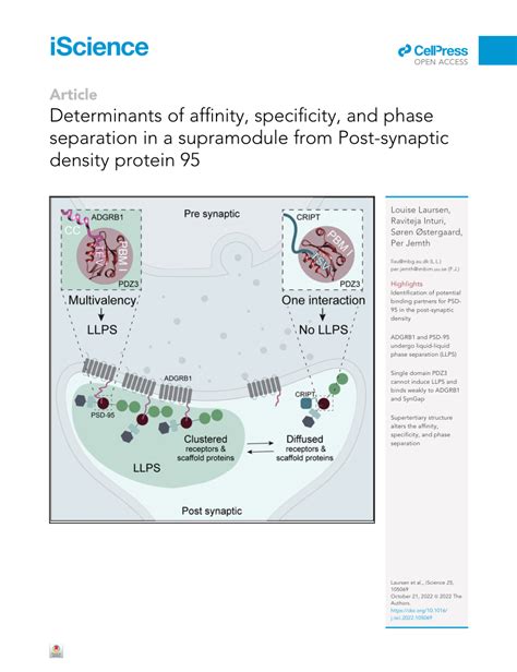 PDF Determinants Of Affinity Specificity And Phase Separation In A