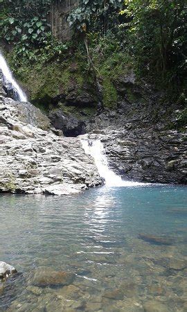 Saut De Bras De Fort Goyave Ce Qu Il Faut Savoir Pour Votre