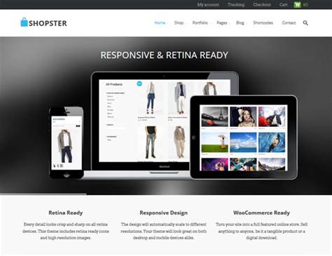 69+ Elegant Responsive WordPress WooCommerce Themes - Design News