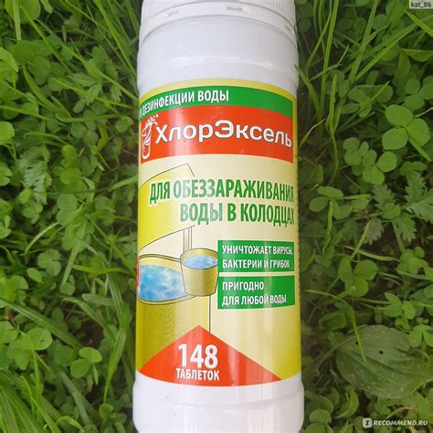 Таблетки для очистки воды в колодцах ХлорЭксель Для обеззараживания ...