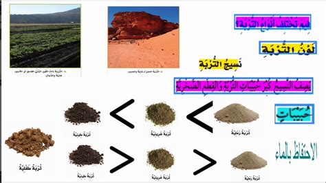 التربة الصف الثالث الابتدائي الفصل الدراسي الأول - YouTube