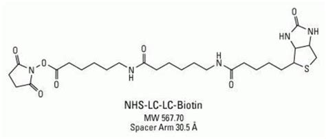 EZ Link NHS LC LC Biotin Thermo Fisher Scientific