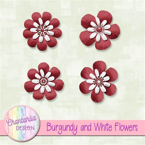 Burgundy and White Flowers - Chantahlia Design