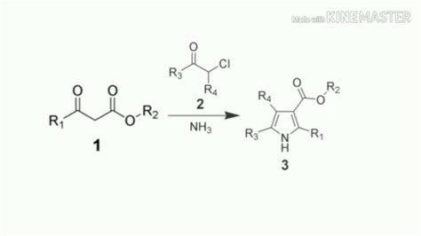 Hantzsch Pyrrole Synthesis YouTube