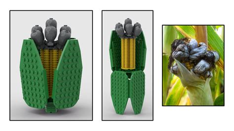 January 2024 New Kits On The Block Plant Disease Diagnostics Clinic