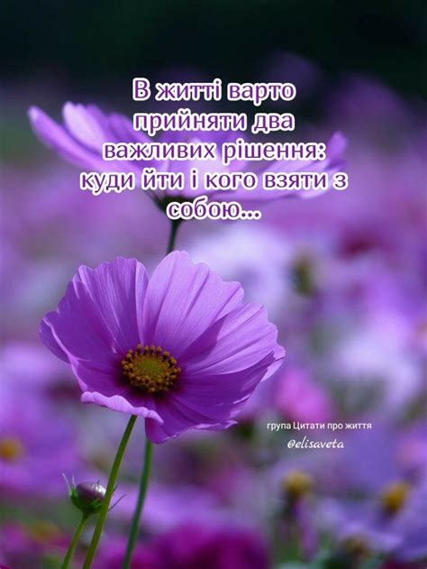 Pin by Ирина Акшанова on Мудрые цитаты Quotes